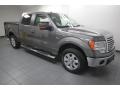 2010 Sterling Grey Metallic Ford F150 XLT SuperCrew  photo #9