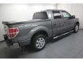 2010 Sterling Grey Metallic Ford F150 XLT SuperCrew  photo #11