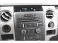 2010 Sterling Grey Metallic Ford F150 XLT SuperCrew  photo #20