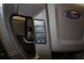 2010 Sterling Grey Metallic Ford F150 XLT SuperCrew  photo #25
