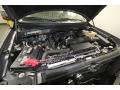 2010 Sterling Grey Metallic Ford F150 XLT SuperCrew  photo #41