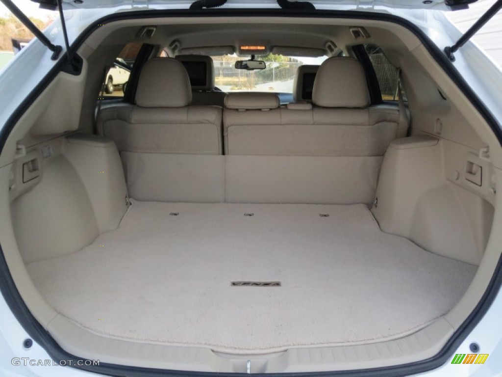2010 Toyota Venza I4 Trunk Photo #76268576