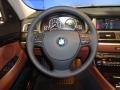 Cinnamon Brown Steering Wheel Photo for 2012 BMW 5 Series #76268723