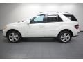 Arctic White - ML 350 4Matic Photo No. 2