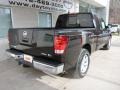 Galaxy Black - Titan SV King Cab Photo No. 2