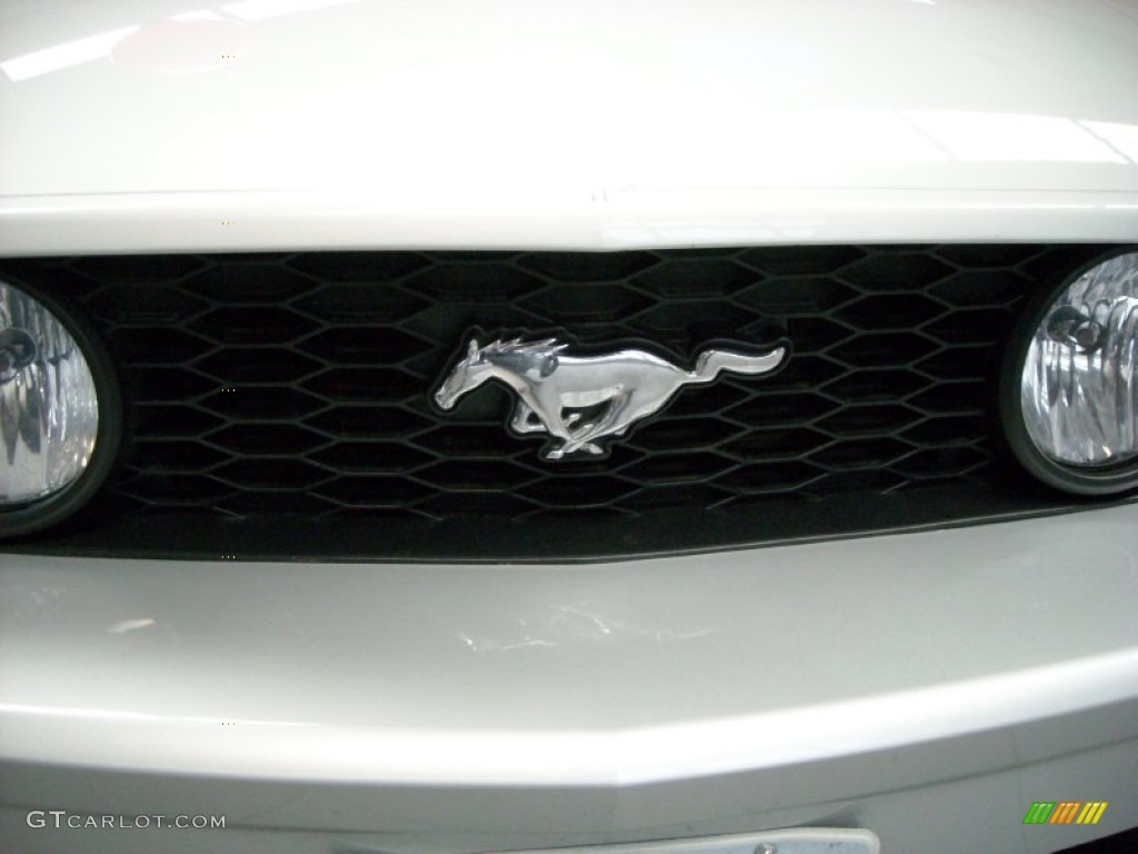 2006 Mustang GT Premium Convertible - Satin Silver Metallic / Dark Charcoal photo #22
