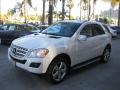Arctic White 2010 Mercedes-Benz ML 350 Exterior