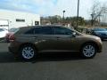 Golden Umber Metallic - Venza XLE Photo No. 2