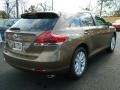 Golden Umber Metallic - Venza XLE Photo No. 3