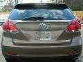 Golden Umber Metallic - Venza XLE Photo No. 4