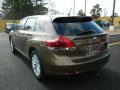 Golden Umber Metallic - Venza XLE Photo No. 5