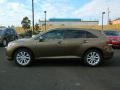 Golden Umber Metallic - Venza XLE Photo No. 6