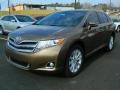 Golden Umber Metallic - Venza XLE Photo No. 7