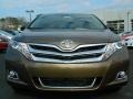 Golden Umber Metallic - Venza XLE Photo No. 8