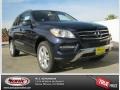 2013 Lunar Blue Metallic Mercedes-Benz ML 350 4Matic  photo #1