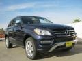 2013 Lunar Blue Metallic Mercedes-Benz ML 350 4Matic  photo #11