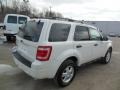 2012 White Suede Ford Escape XLT 4WD  photo #8