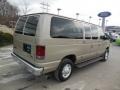 Pueblo Gold Metallic - E Series Van E350 XLT Passenger Photo No. 8