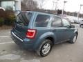 2010 Steel Blue Metallic Ford Escape XLT 4WD  photo #8