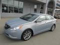 Iridescent Silver Blue Metallic - Sonata SE Photo No. 2