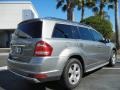 Palladium Silver Metallic 2010 Mercedes-Benz GL 450 4Matic Exterior