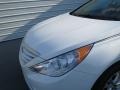 Shimmering White - Sonata GLS Photo No. 9