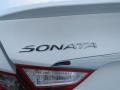 Shimmering White - Sonata GLS Photo No. 13
