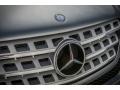 Palladium Silver Metallic - ML 350 Photo No. 26