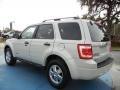 2008 Light Sage Metallic Ford Escape XLT  photo #3