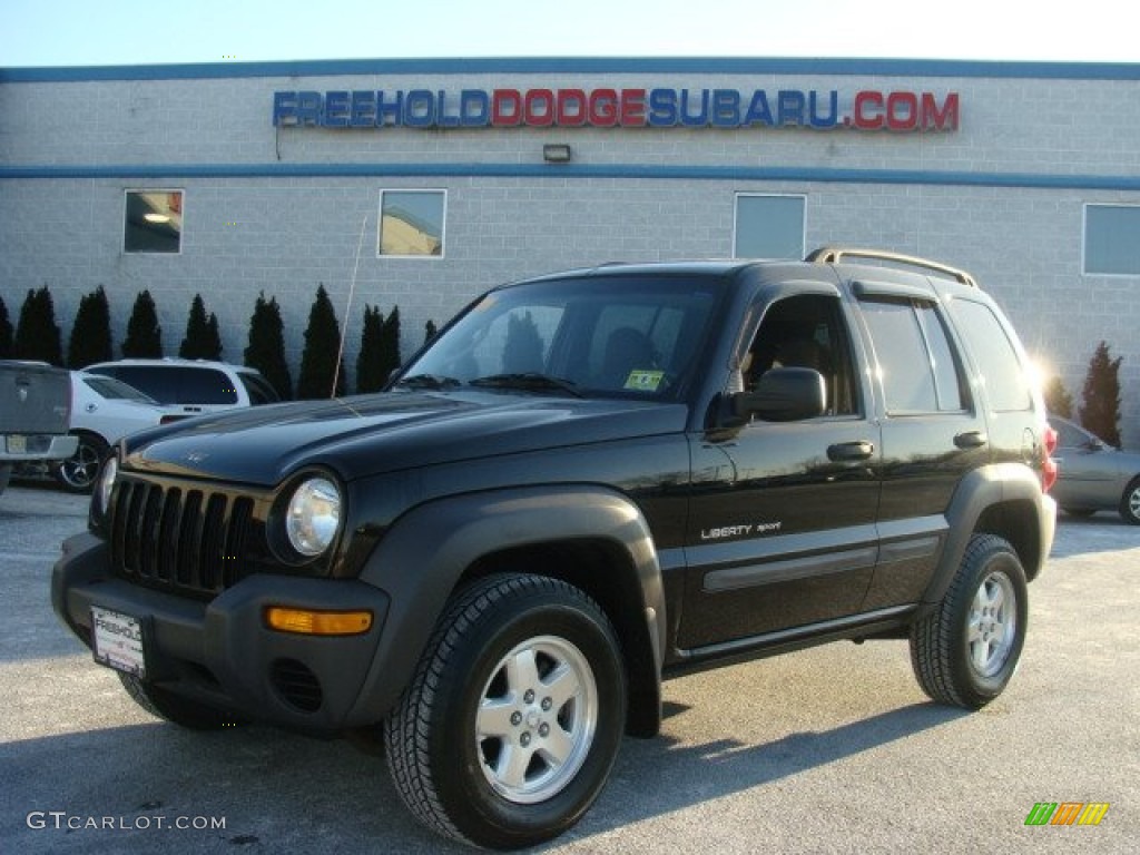 2002 Liberty Sport 4x4 - Black / Dark Slate Gray photo #1