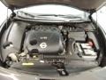 Super Black - Maxima 3.5 SV Photo No. 25