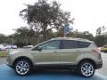 Ginger Ale Metallic 2013 Ford Escape Titanium 2.0L EcoBoost Exterior