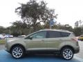  2013 Escape Titanium 2.0L EcoBoost Ginger Ale Metallic