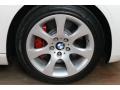 2009 BMW 3 Series 335i Coupe Wheel and Tire Photo