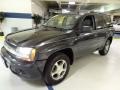 Dark Gray Metallic - TrailBlazer LS 4x4 Photo No. 2