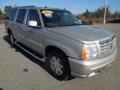 Quicksilver - Escalade ESV AWD Photo No. 2