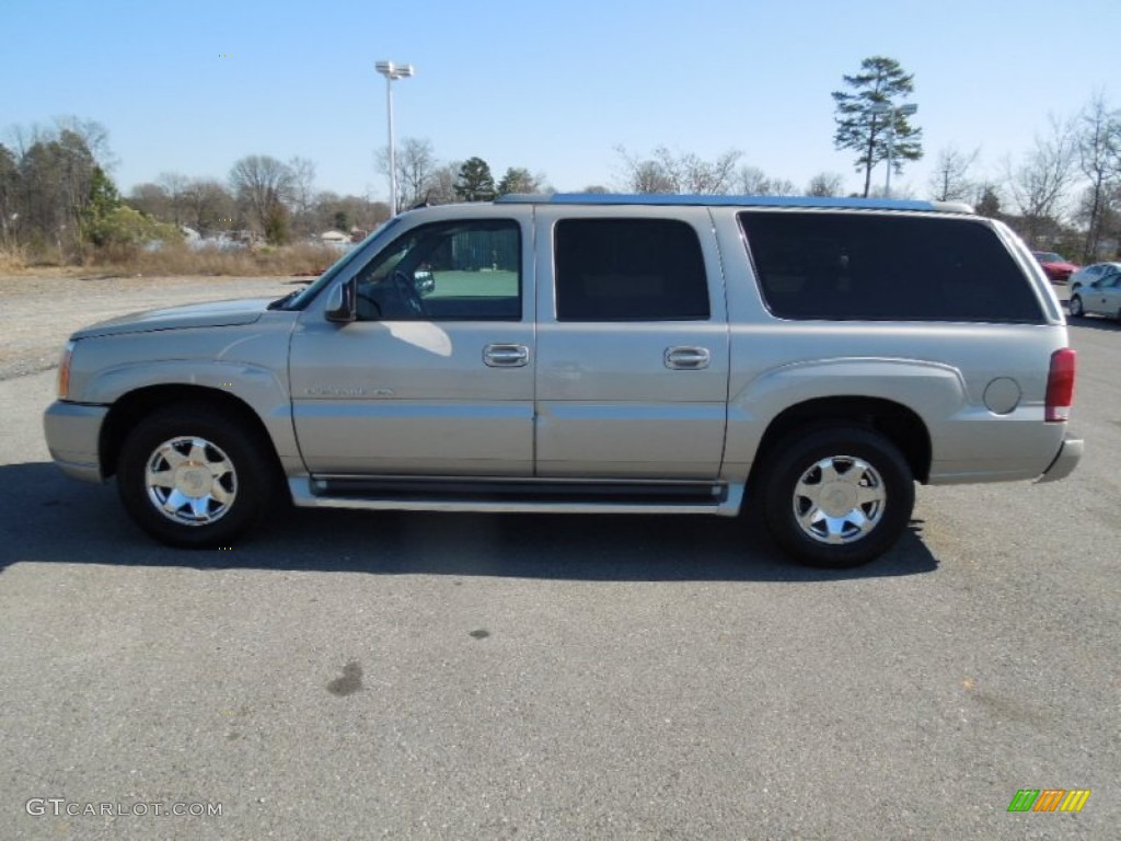 2004 Escalade ESV AWD - Quicksilver / Shale photo #3