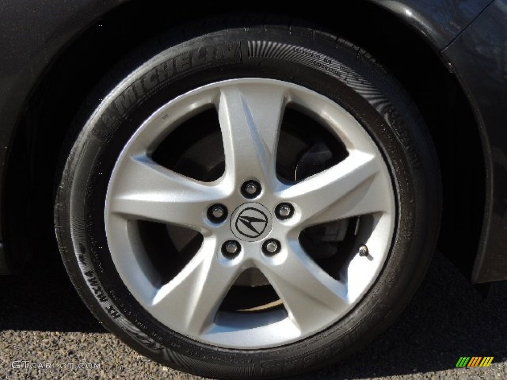 2010 TSX Sedan - Grigio Metallic / Ebony photo #27