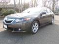 2010 Grigio Metallic Acura TSX Sedan  photo #1