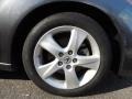 Polished Metal Metallic - TSX Sedan Photo No. 27