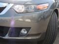 Polished Metal Metallic - TSX Sedan Photo No. 29
