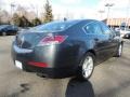 2010 Polished Metal Metallic Acura TL 3.5  photo #5