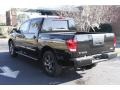 Galaxy Black - Titan SV Crew Cab Photo No. 9
