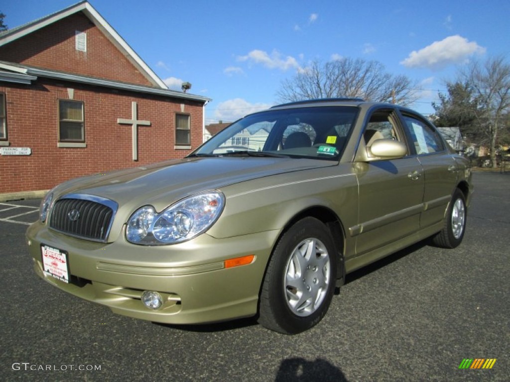 Desert Sand 2004 Hyundai Sonata Standard Sonata Model Exterior Photo #76324649