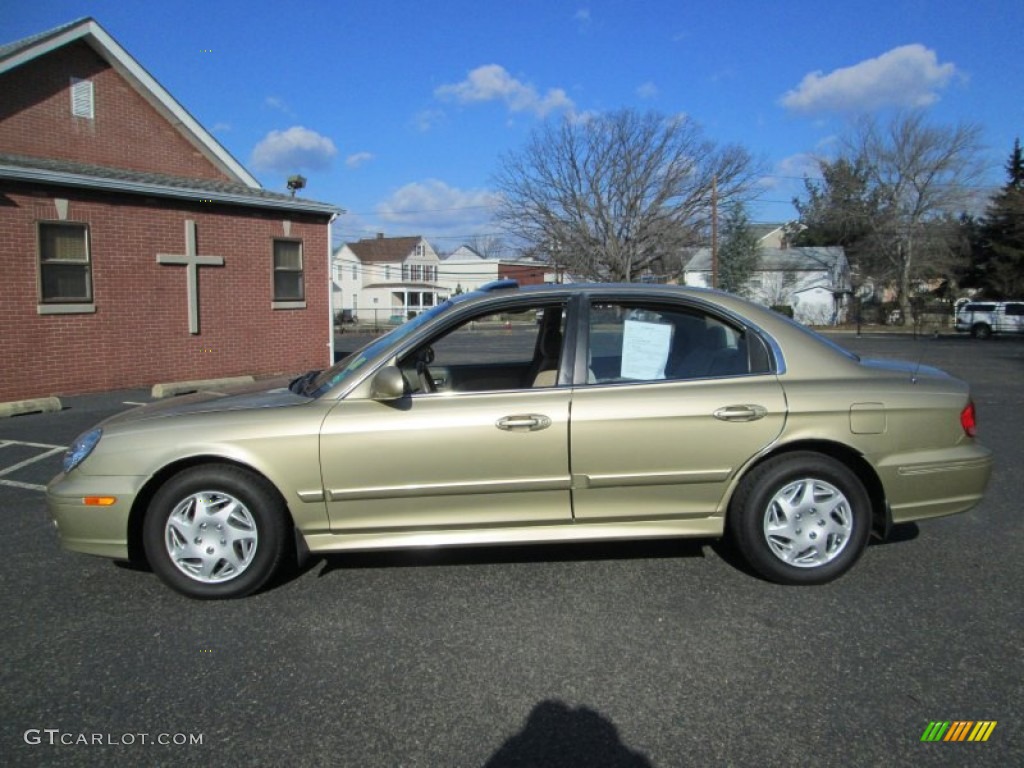 Desert Sand 2004 Hyundai Sonata Standard Sonata Model Exterior Photo #76324667
