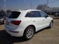 Ibis White - Q5 2.0 TFSI quattro Photo No. 6