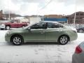 Metallic Jade - Altima 2.5 SL Photo No. 5