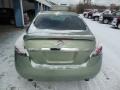 Metallic Jade - Altima 2.5 SL Photo No. 7