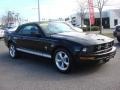 2008 Black Ford Mustang V6 Deluxe Convertible  photo #24