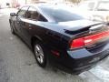 Blackberry Pearl - Charger SE Photo No. 24